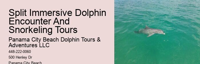 Dolphin Spotting Excursions in PCB