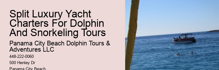 Dolphin Sightseeing Cruises in PCB