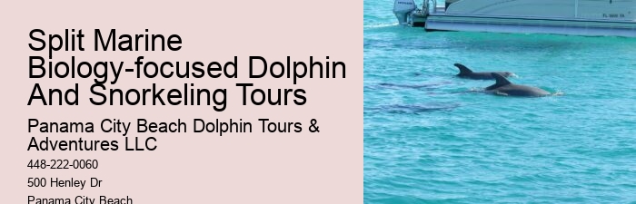 Are Dolphin Shows Ethical