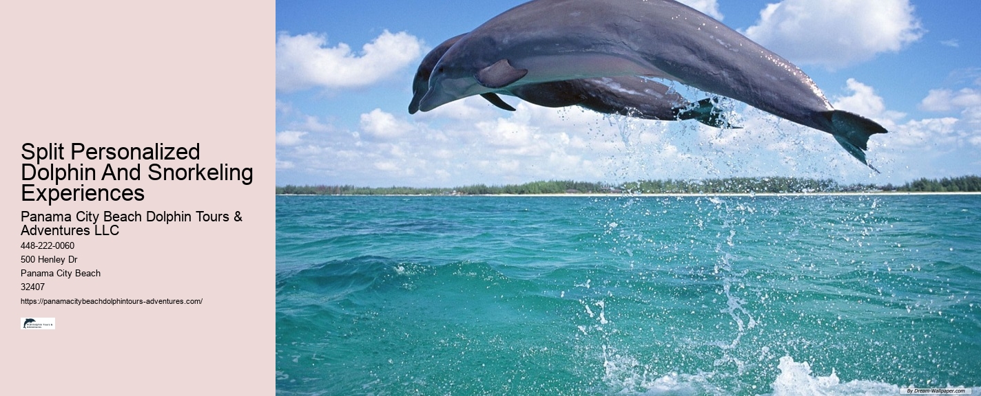 5 Reasons Not To Swim With Dolphins