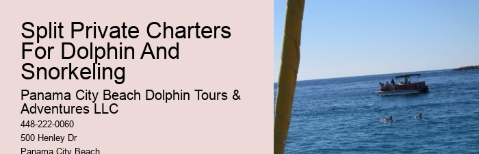 Can Dolphins Smell Fear