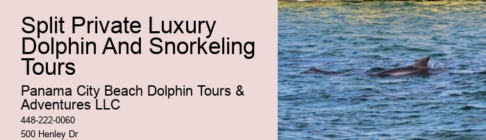 Dolphin Tours Panama City Beach Jet Ski