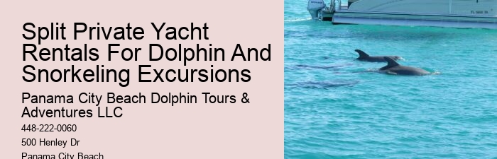 Panama City Beach dolphin discovery excursions