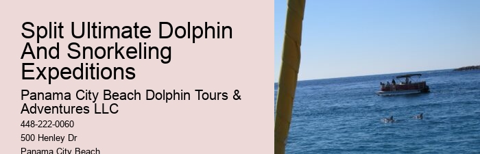 Dolphin Cruise 30a