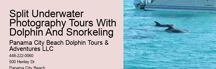 Split Exclusive Dolphin And Snorkeling Charters