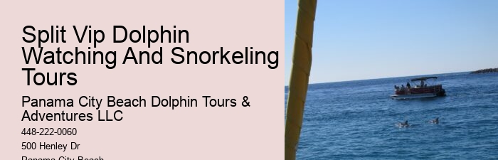 What Not To Do With Dolphins