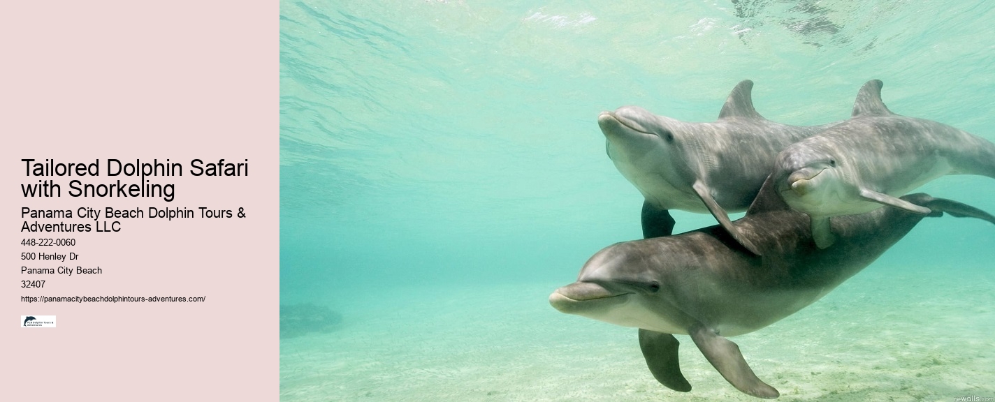 Dolphin Encounter