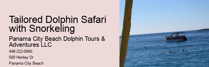 Tour Operator