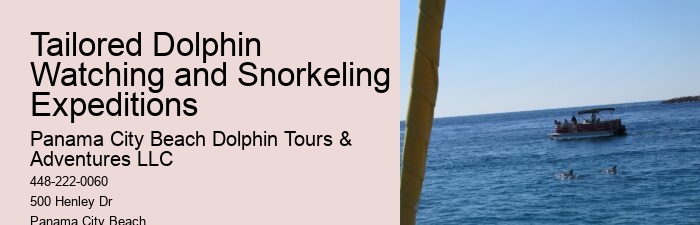 Dolphin Boat Charter