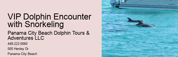 Panama City Beach Dolphin Tours & More Tours