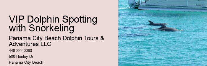 Guided Dolphin Watching and Snorkeling Trips