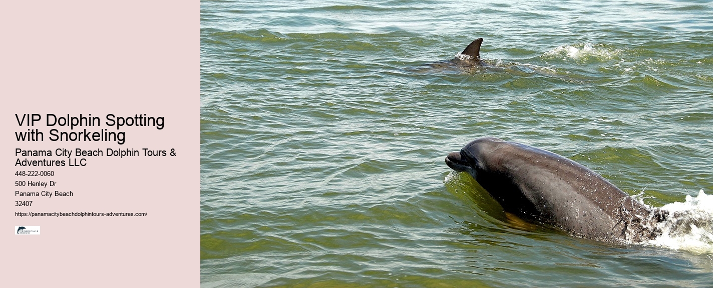 How Do Dolphins See Humans