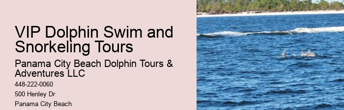 Catamaran Dolphin Tour Panama City Beach